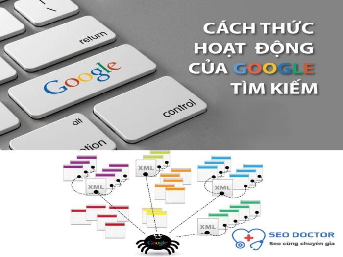Google Search hoạt động như thế nào? cách thức hoạt động của Google