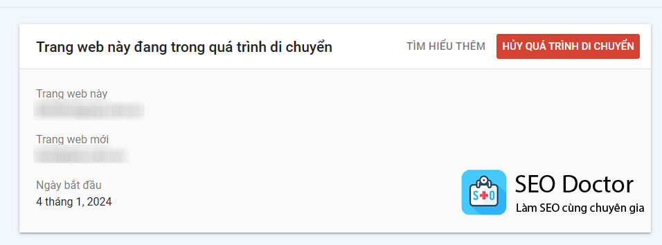 Kết quả quá trình di chuyển tên miền của bạn