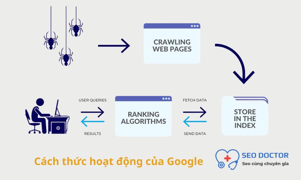 Google Search hoạt động như thế nào