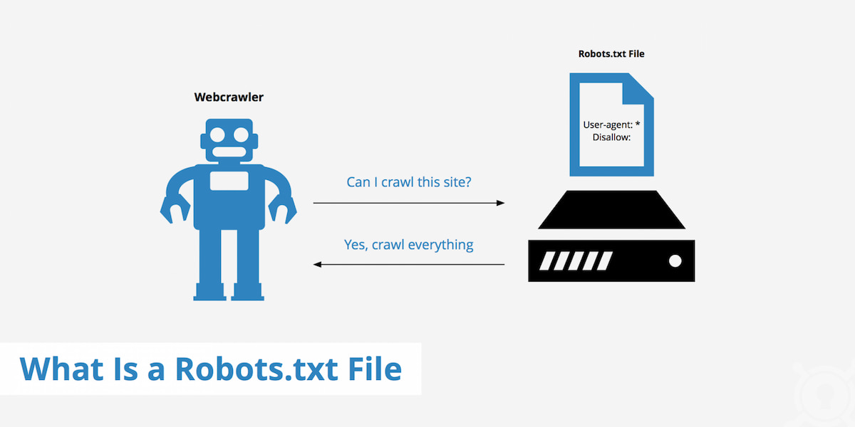 Bot sẽ luôn hỏi robots.txt có hay không