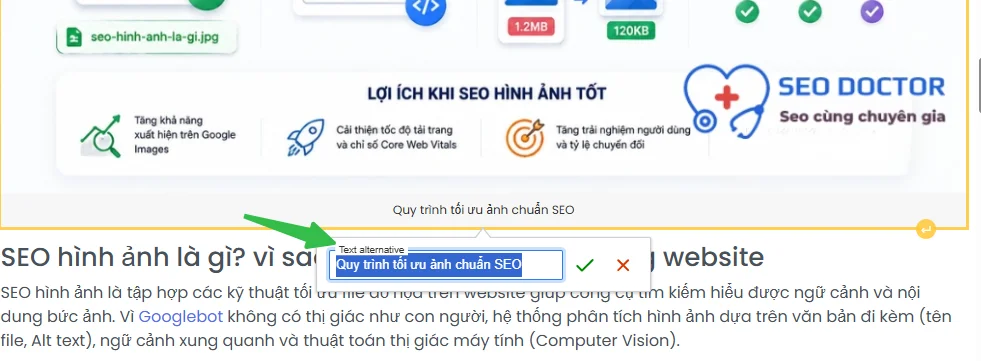 Ví dụ về thiết thẻ ALT trong 1 bài viết