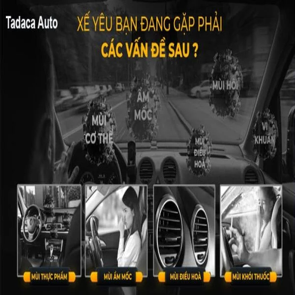 Tinh Dầu Kẹp Cửa Gió Ô Tô Dr. Marcus Cao Cấp slide 3