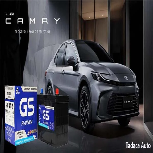 Ắc Quy Ô Tô GS 65Ah-12V Chính Hãng slide 5