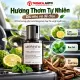 Nước Hoa Ô Tô Gocado Aromatic Hương Thơm Tự Nhiên slide 4