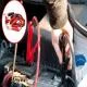 Dây Câu Bình Ắc Quy Ô Tô 2000A Chính Hãng slide 5