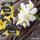 Sáp thơm ô tô Areon Vanilla Black Chính Hãng slide 3