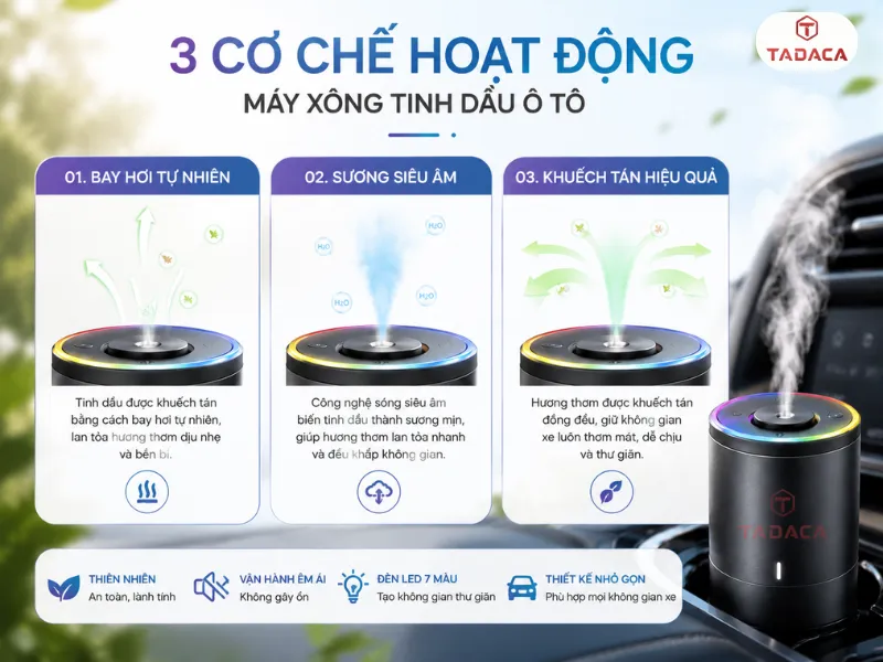 nguyen-ly-hoat-dong-cua-may-xong-tinh-dau-xe-o-to