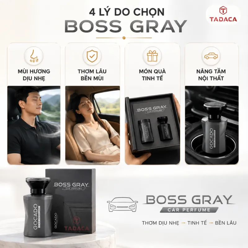 gocado boss gray phù hợp với ai