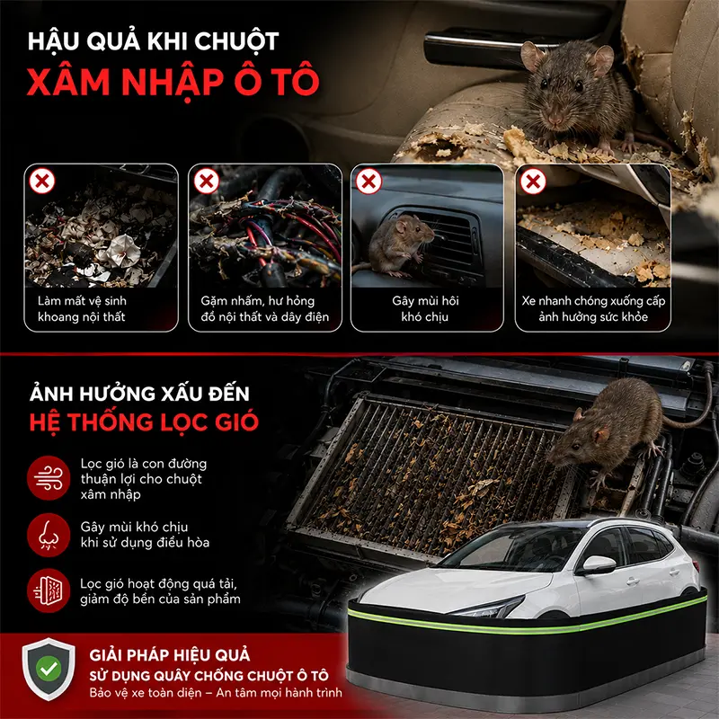 Vì sao nên sử dụng quây chống chuột xe ô tô?