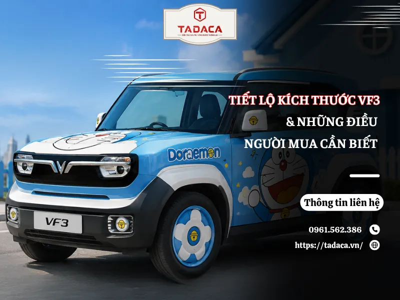 Tiết Lộ Kích Thước VF3 Và Những Điều Người Mua Cần Biết