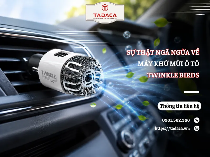Sự Thật Ngã Ngửa Về Máy Khử Mùi Ô Tô Twinkle Birds