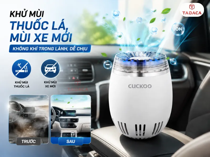 Khử mùi thuốc lá, mùi xe mới