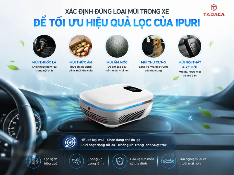 Xác định đúng loại mùi trong xe để tối ưu hiệu quả lọc của iPuri
