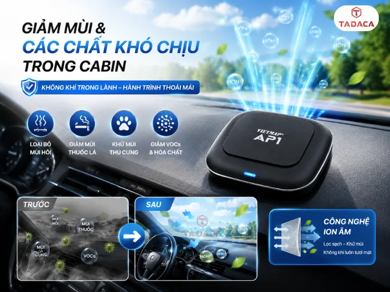 Hỗ trợ giảm mùi và các chất gây khó chịu trong cabin
