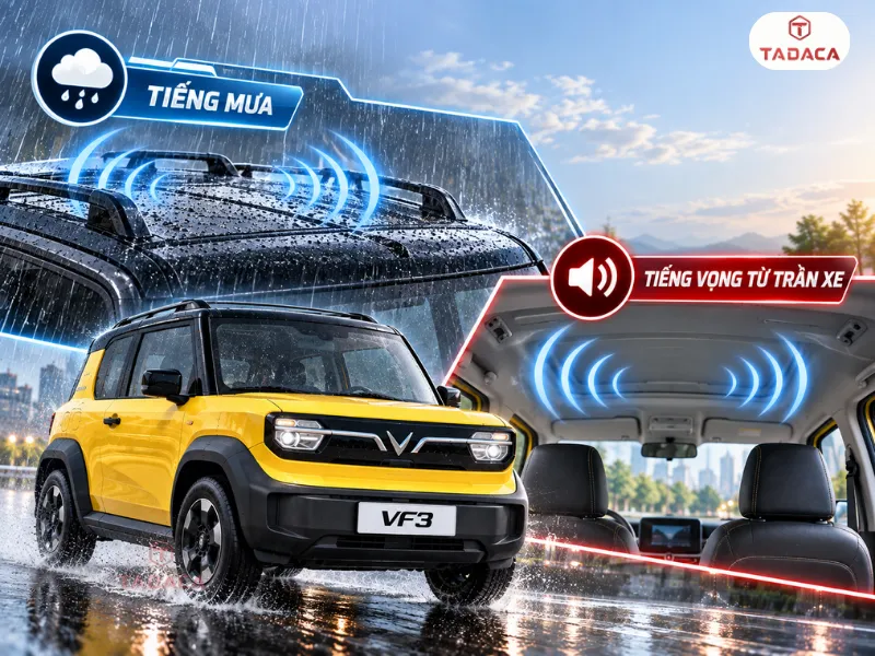 Tiếng mưa và tiếng vọng từ trần xe