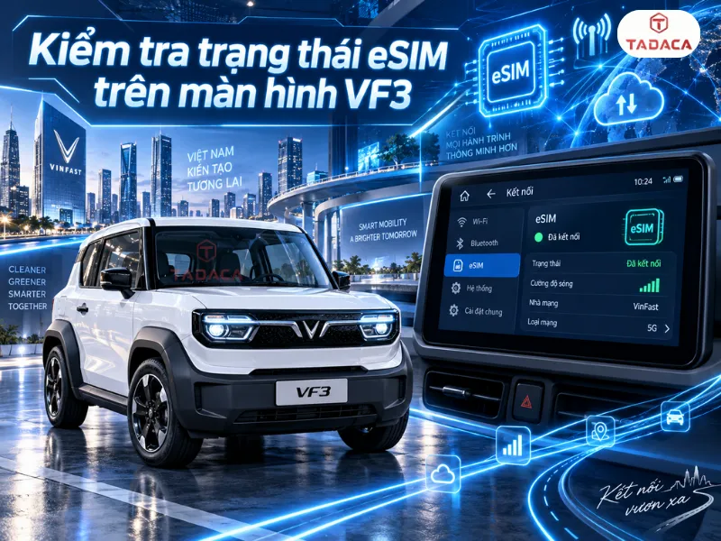 Kiểm tra trạng thái eSIM trên màn hình VF3