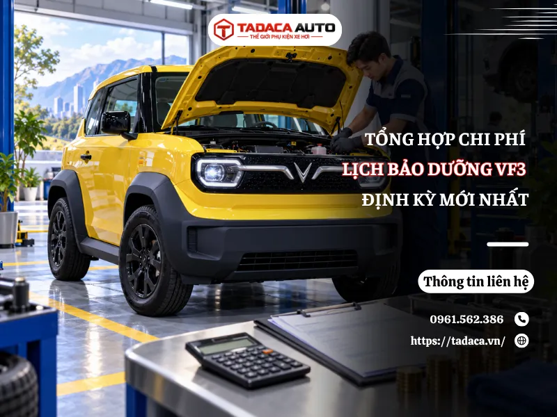 Chi Phí Và Lịch Bảo Dưỡng VF3 Định Kỳ Mới Nhất 2026
