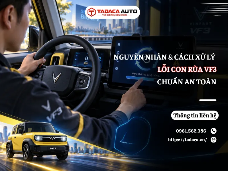 Nguyên Nhân Và Cách Xử Lý Lỗi Con Rùa VF3 Chuẩn An Toàn