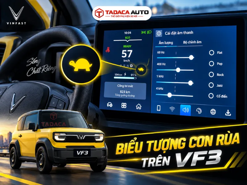 Ý nghĩa của biểu tượng con rùa trên VF3
