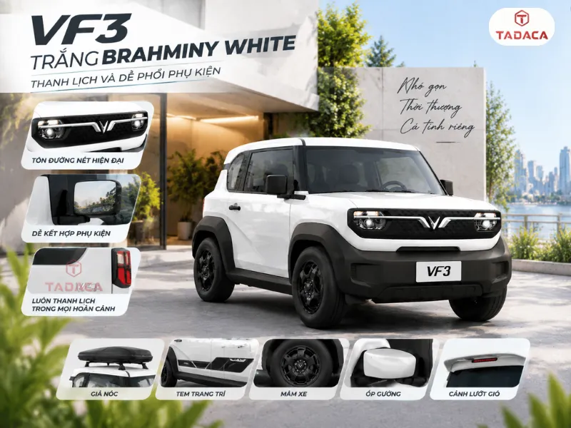 Trắng Brahminy White thanh lịch và dễ phối phụ kiện