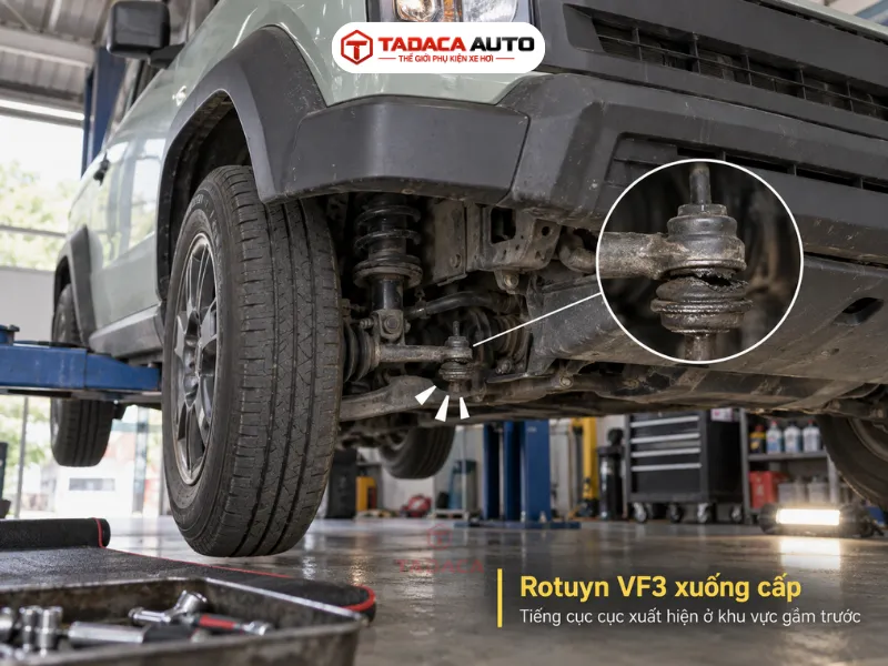 Tiếng cục cục xuất hiện ở khu vực gầm trước