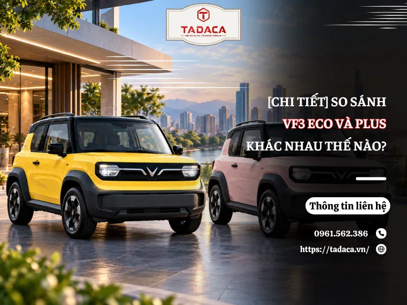 [Chi Tiết] So Sánh VF3 Eco Và Plus Khác Nhau Thế Nào?