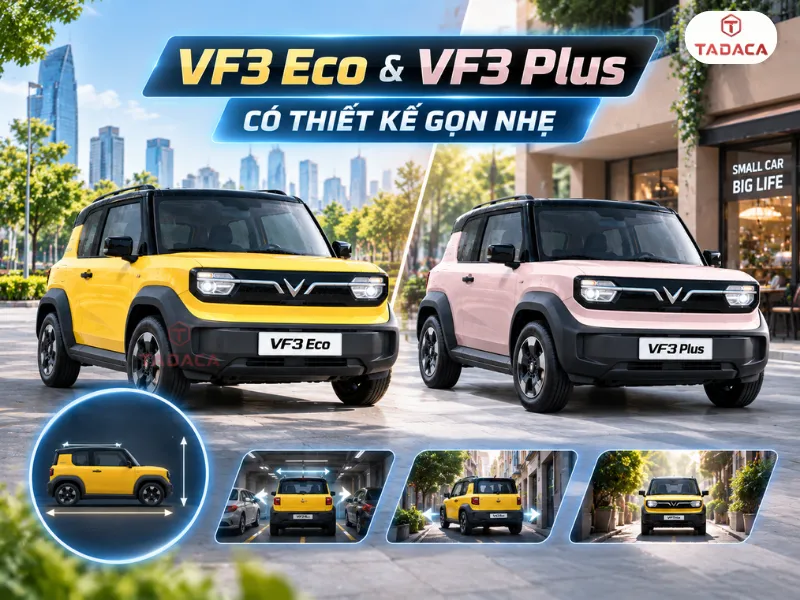 điểm giống nhau của vf3 eco và vf3 plus