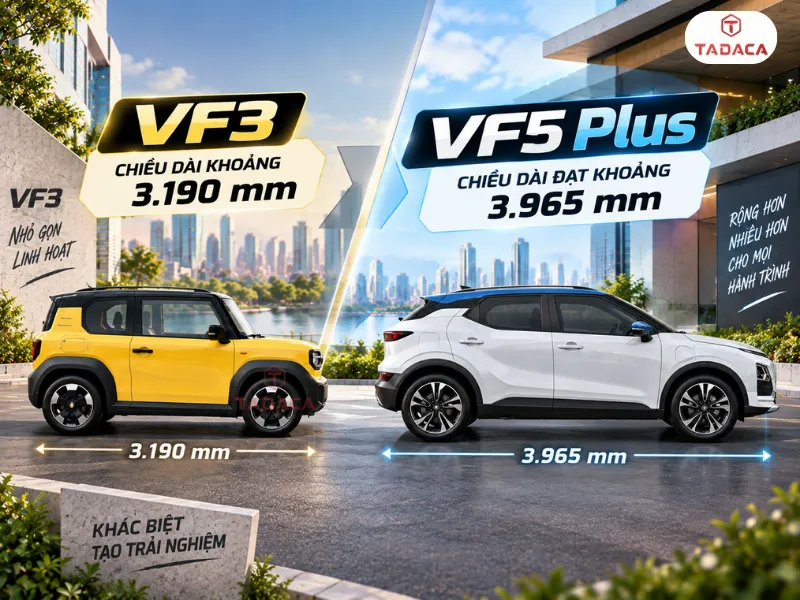 Kích thước của vf3 và vf5