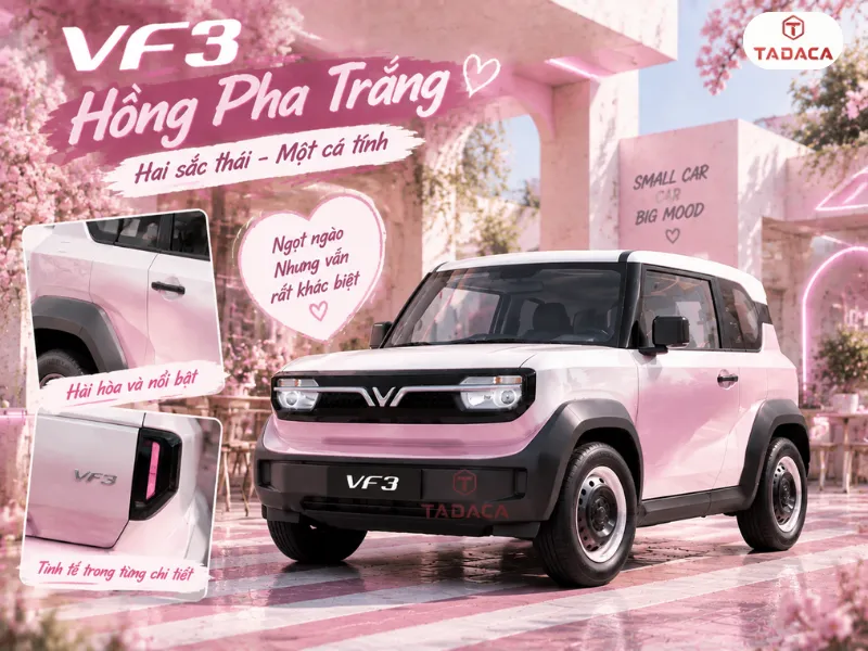 VF3 hồng nóc trắng tạo hiệu ứng hai màu