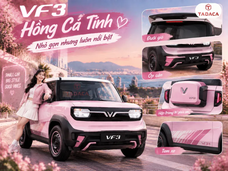 Phối phụ kiện cho VF3 hồng
