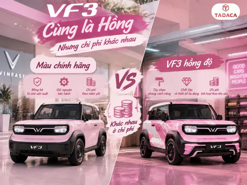 Màu chính hãng và VF3 hồng độ có chi phí khác nhau
