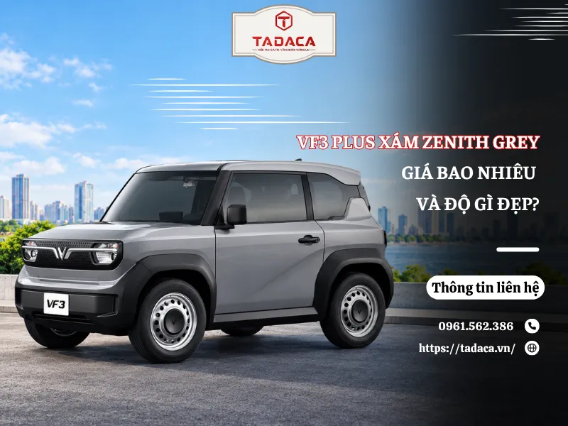 VF3 Plus Xám Zenith Grey Giá Bao Nhiêu Và Độ Gì Đẹp?