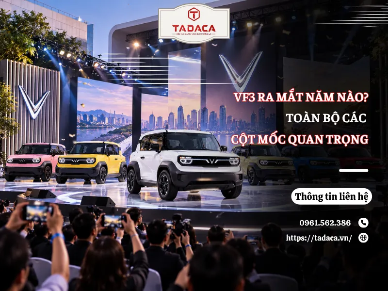 VF3 Ra Mắt Năm Nào? Toàn Bộ Các Cột Mốc Quan Trọng