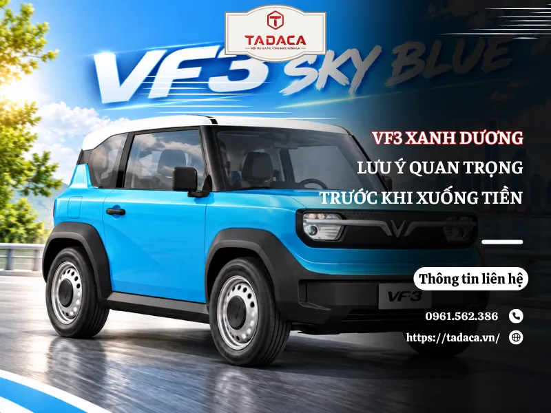 VF3 Xanh Dương: Lưu Ý Quan Trọng Trước Khi Xuống Tiền