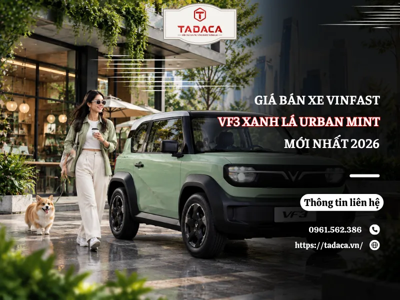 Giá Bán Xe VinFast VF3 Xanh Lá Urban Mint Mới Nhất 2026