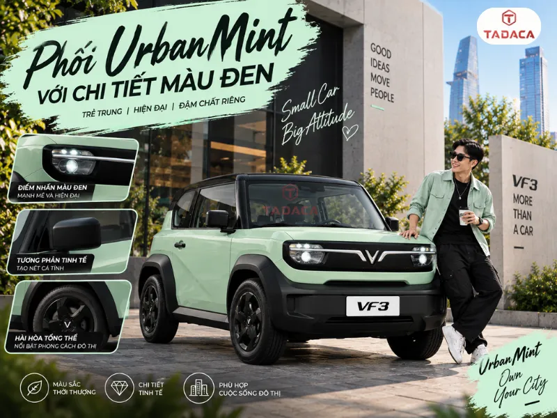 Phối Urban Mint với chi tiết màu đen