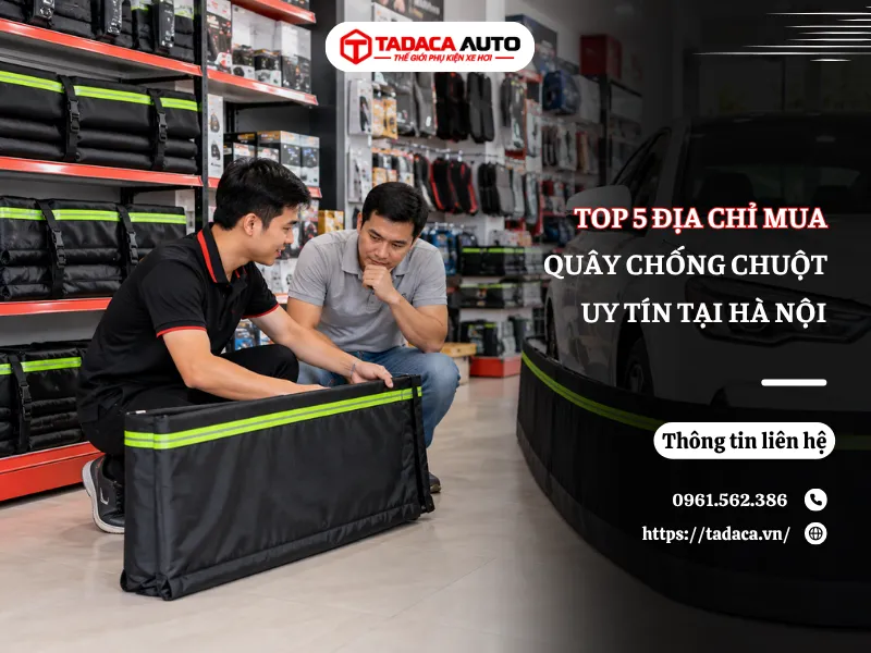 Top 5 Địa Chỉ Mua Quây Chống Chuột Uy Tín Tại Hà Nội