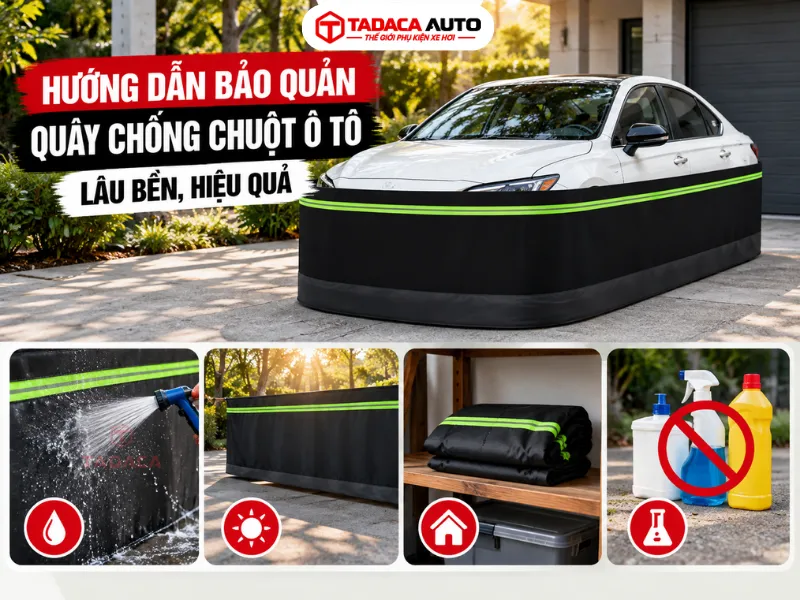 Kinh nghiệm sử dụng quây chống chuột ô tô hiệu quả và an toàn
