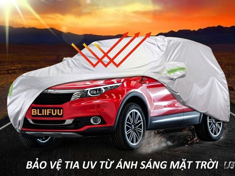 bat-phu-oto-1