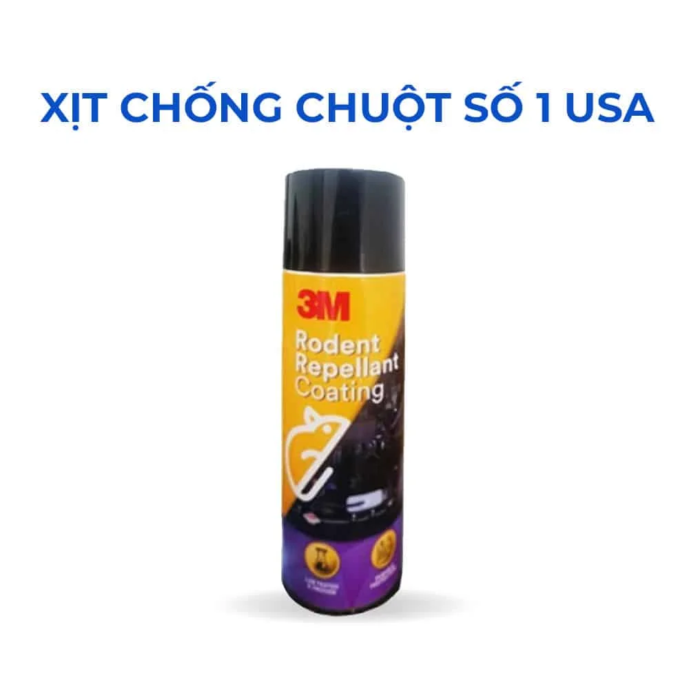 z3372750663572_5b53b03bbb28a584196529b721525c6f