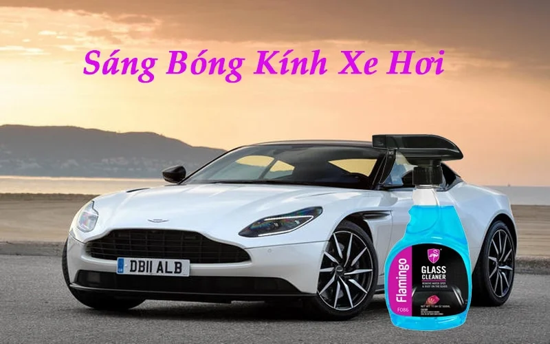 Bình Xịt Rửa Kính Xe Ô Tô Flamingo