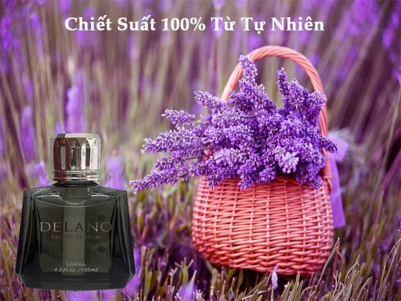 Nước Hoa xe hơi Delano Cao Cấp Nhật Bản