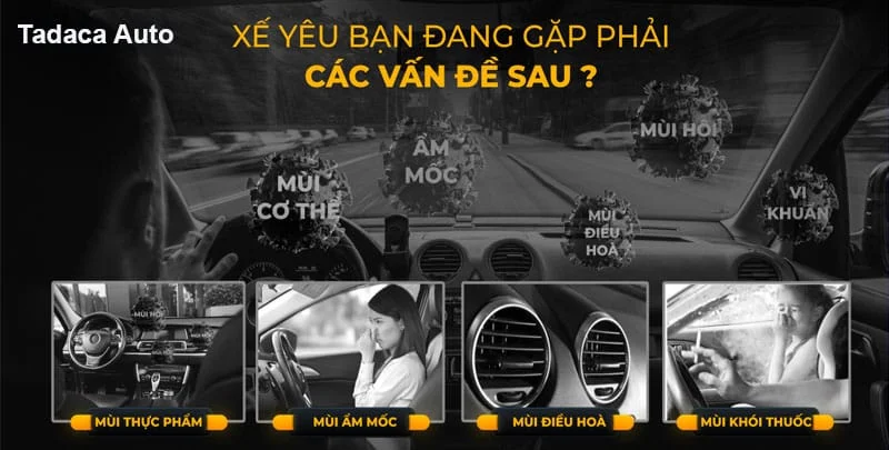 Tinh Dầu Kẹp Cửa Gió Ô Tô Dr. Marcus Cao Cấp
