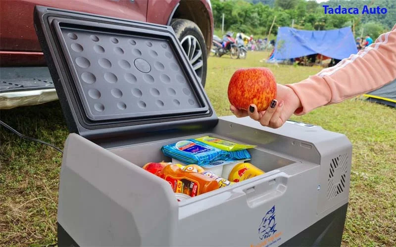 tu-lanh-o-to-mini
