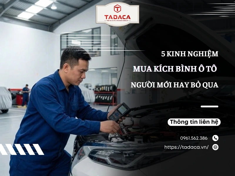 5 Kinh Nghiệm Mua Kích Bình Ô Tô Người Mới Hay Bỏ Qua