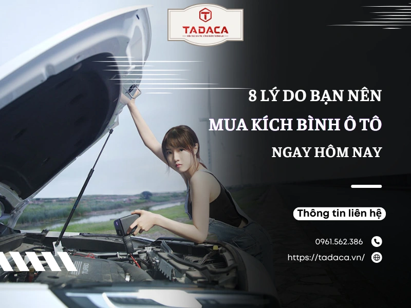 8 Lý Do Thuyết Phục Bạn Nên Mua Kích Bình Ô Tô Ngay Hôm Nay