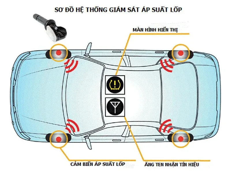 ap-suat-lop-o-to-chuan-2026-bang-tra-theo-dong-xe-cach-kiem-tra-4