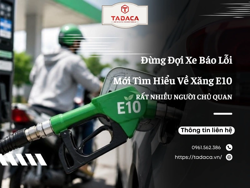 Nhiều Người Chủ Quan Đợi Xe Báo Lỗi Mới Tìm Hiểu Về Xăng E10