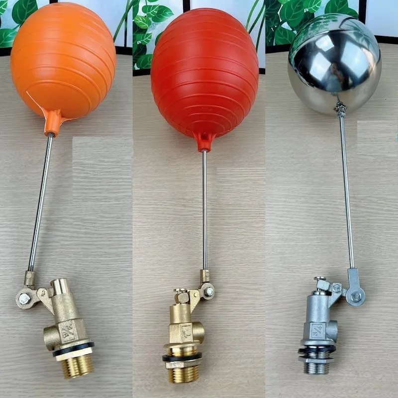 Hình minh họa (2)