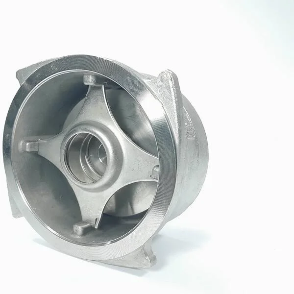 Check valve SS304